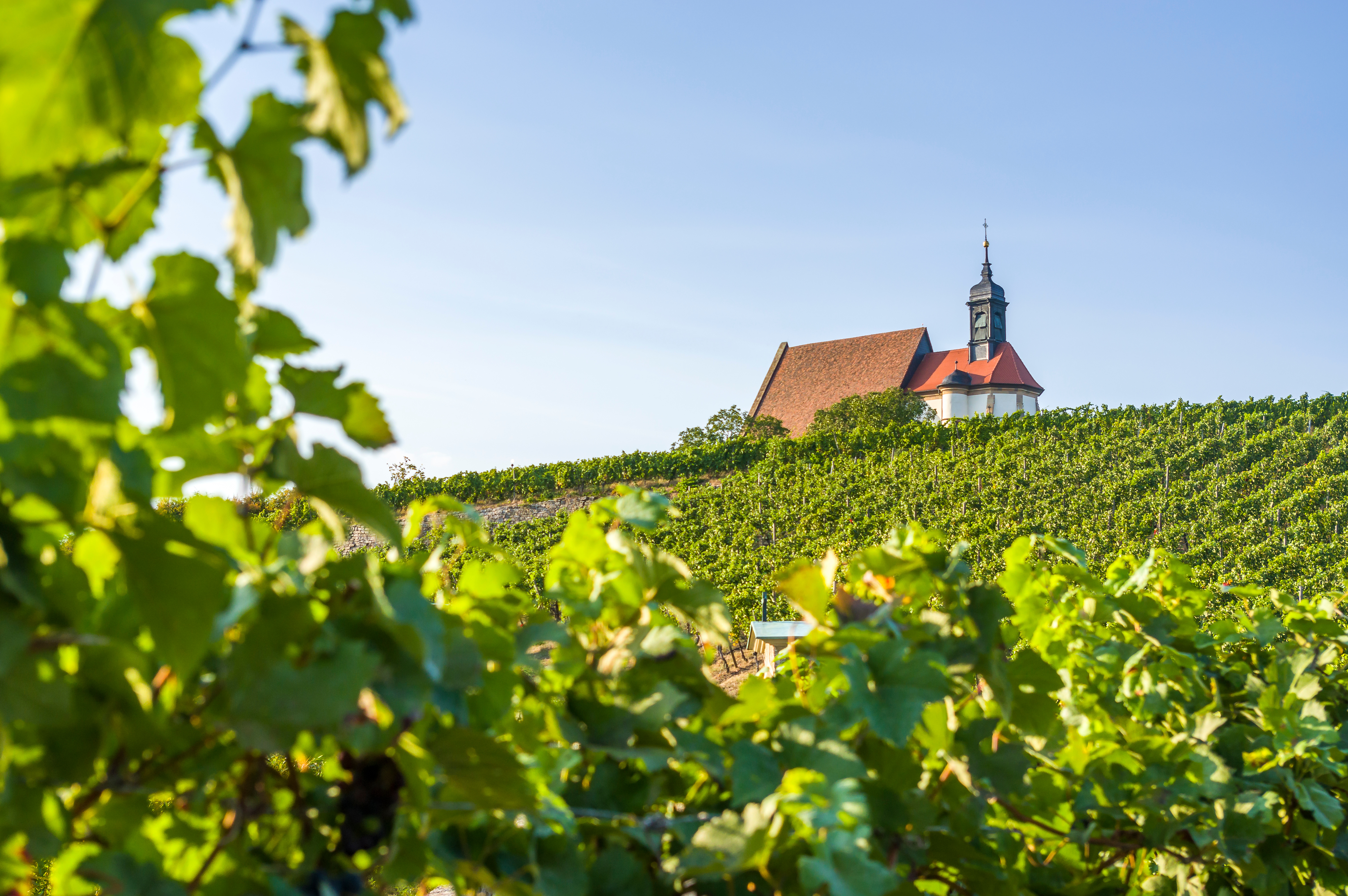 Rhein-Main-Donau | VIVA Cruises