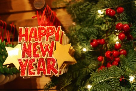 Silvesterfeier auf Main & Rhein