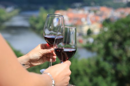 Weinreise - Moselwein & Genuss