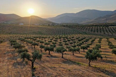 Wein & Winterträume entlang des Douro