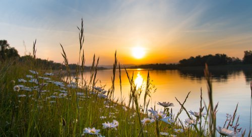 Rheinzauber nach Düsseldorf