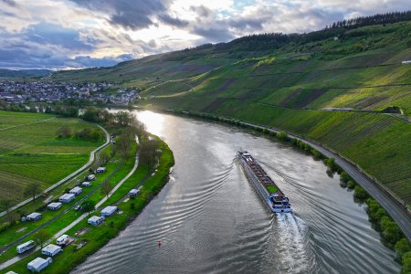 Wein und Rhein